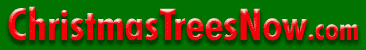 Christmas Trees Now