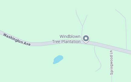 Windblown Tree Plantation map
