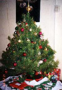 Customer's Christmas Tree